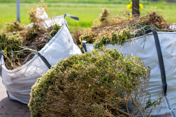 Recycling Services for Junk in Rio Dell, CA